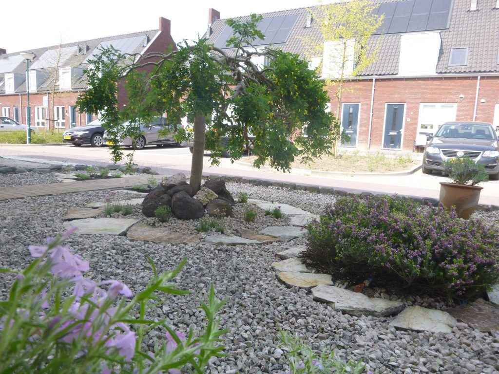 Voortuinrenovatie in 1 dag