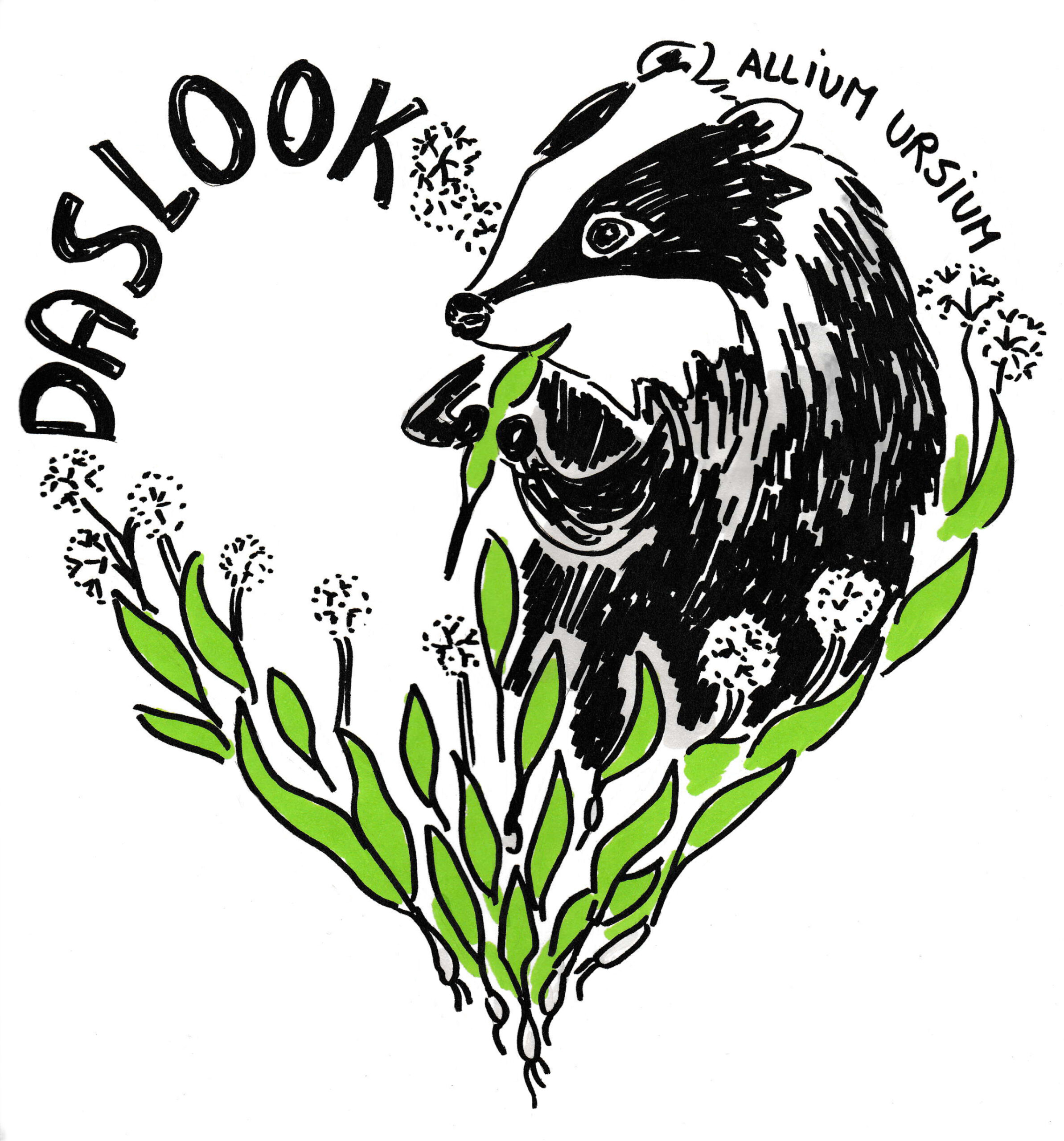 daslook daslook