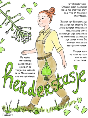 Herderstasje Tuinrecept