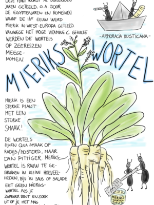 Mierikswortel Tuinrecept