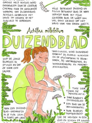 Duizendblad Tuinrecept