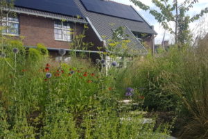 vase planten tuin 2