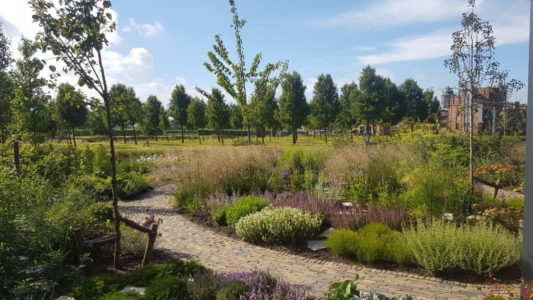 vaste planten tuin